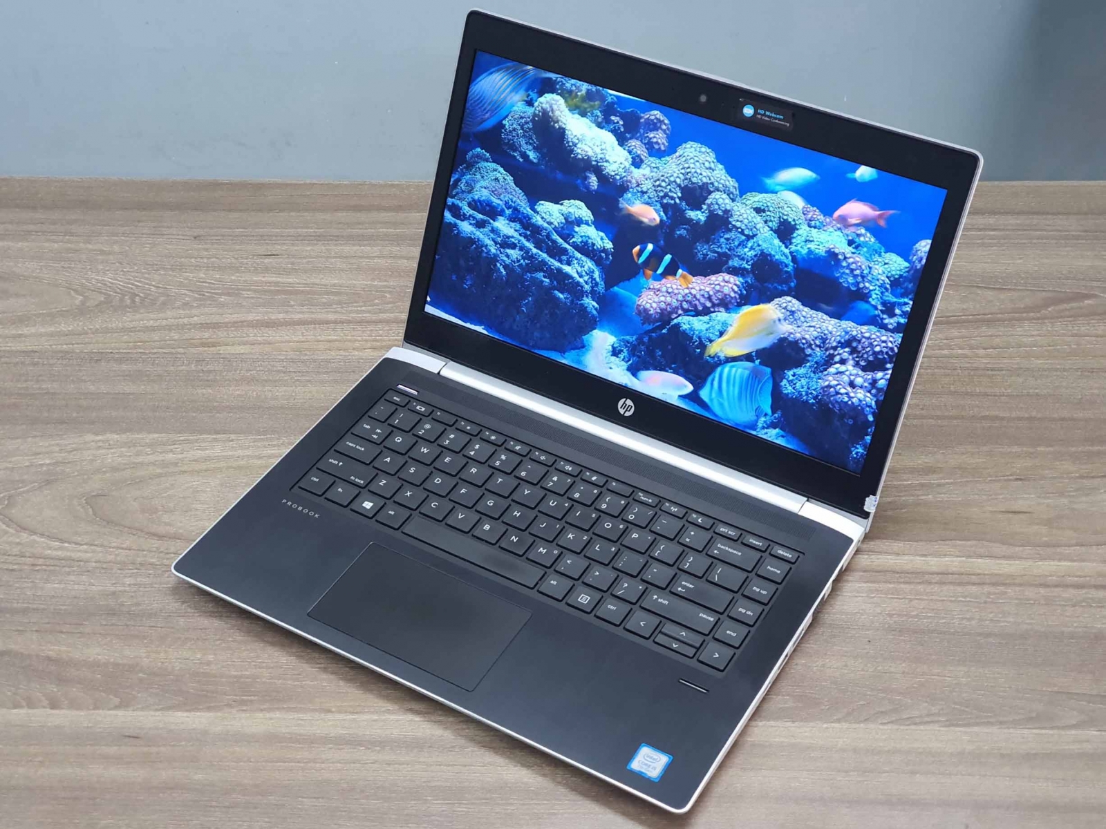 laptop hp chuyên game 440 g5